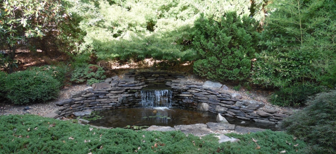 Small pond with rocks and little waterfall